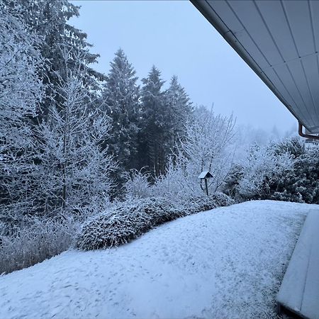 Apartment Maja Unmittelbar An Der Skipiste Winterberg Kültér fotó