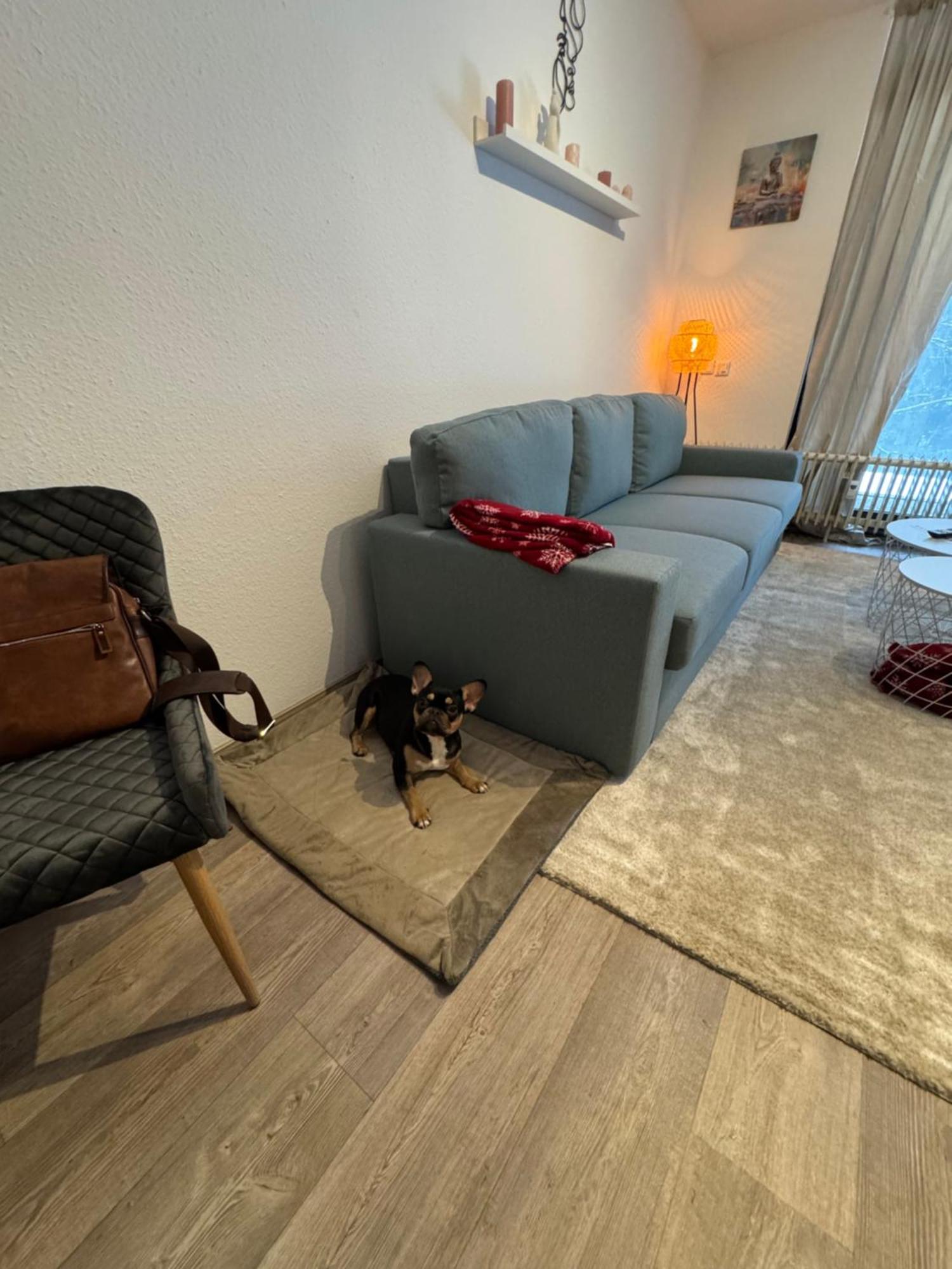 Apartment Maja Unmittelbar An Der Skipiste Winterberg Kültér fotó